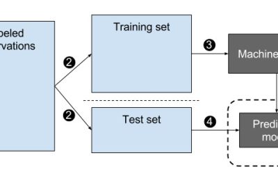 Supervised Learning: Teaching Machines to Learn from Labeled Data