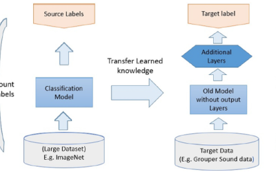 Transfer Learning: Accelerating Model Development with Pretrained Knowledge