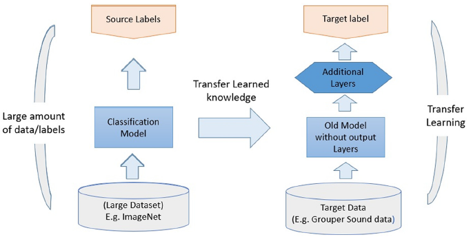 Transfer Learning: Accelerating Model Development with Pretrained Knowledge